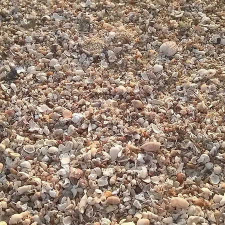 Le Sinfonie Porto Cesareo